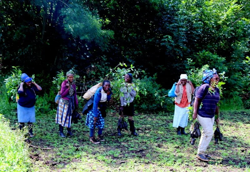 Ayollarda eng zoravon orgazm